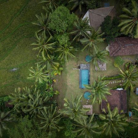 Green Sari Private Villa Ubud  Luaran gambar
